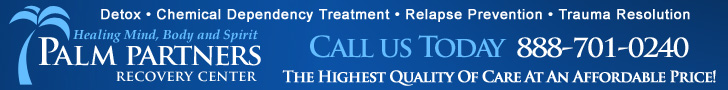 PalmPartners.com Drug Rehab
